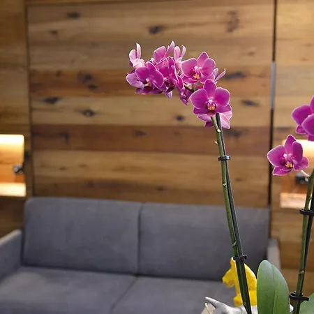 Maison Du Passage Aosta